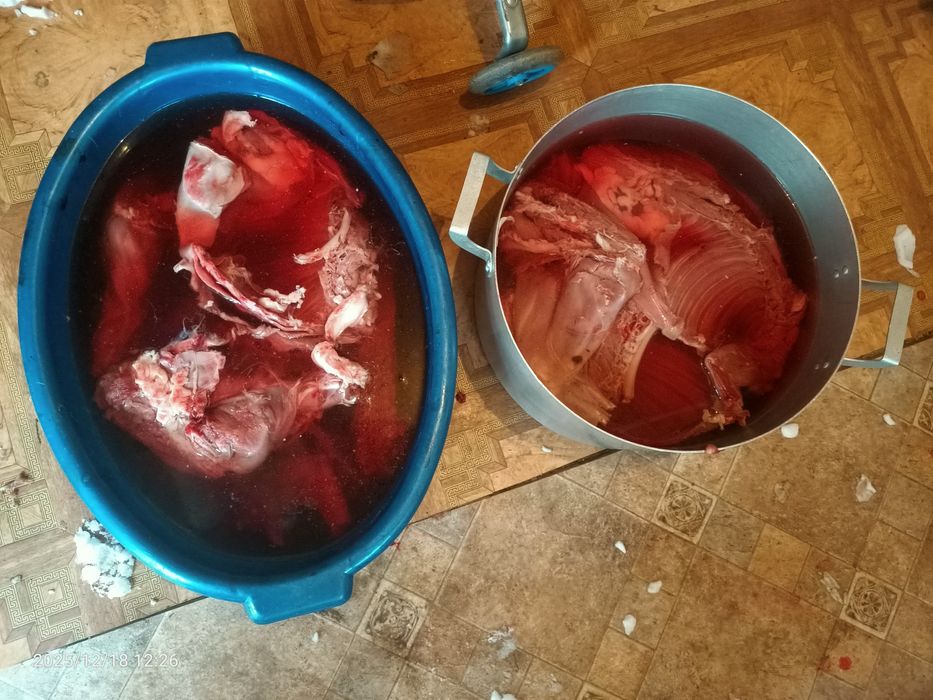 Мясо зайца. Дикий кролик. Дичь. Заяц.