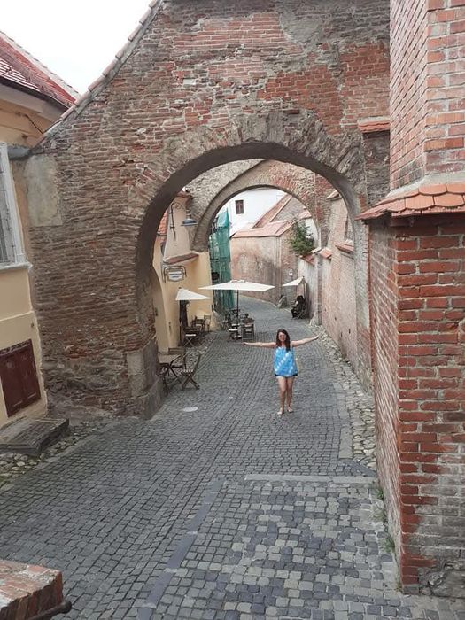 Meditatoare limba română , pentru clasele V - VIII și liceu