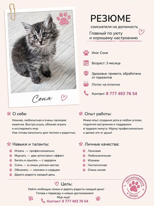 Красивые малышки