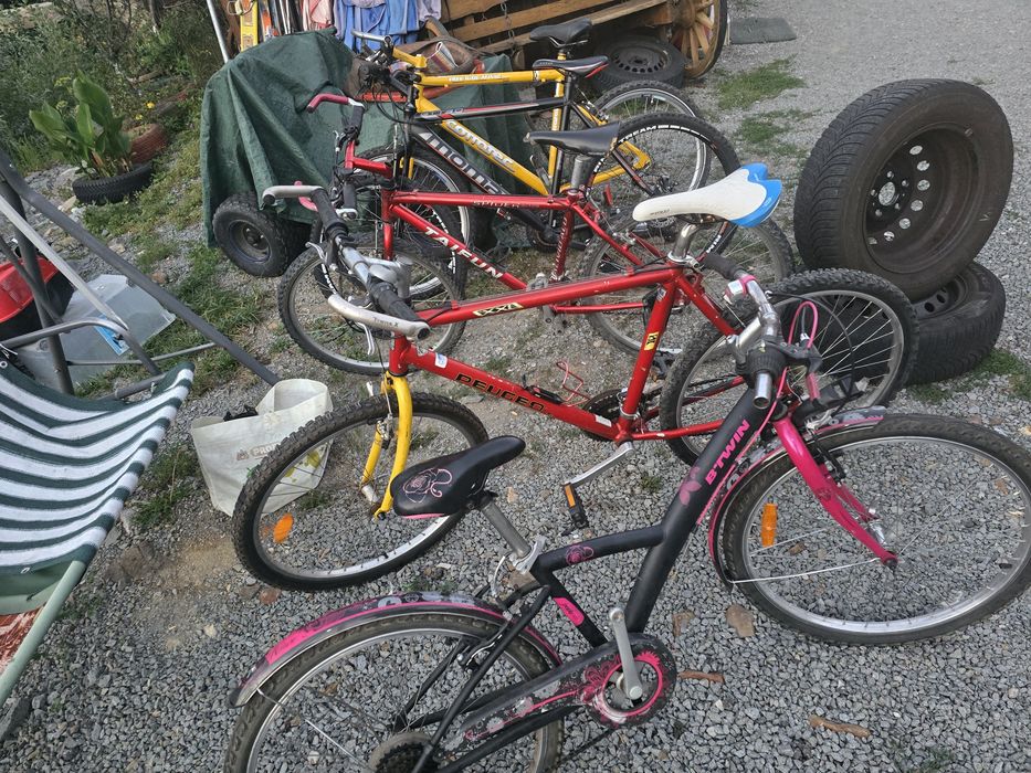 Biciclete  Germania