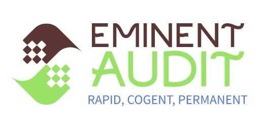 Аудит, Солиқ низолари бўйича Суд ишларида қатнашиш