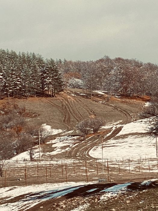 Продава се Парцел в Калофер - 3000 кв.м за 10 €/кв.м - Снимка #1