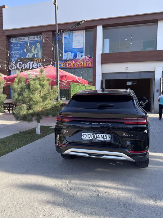 Byd Chempion 605 Honor