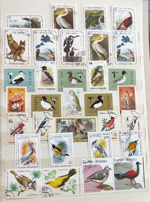 Pasari - timbre de vanzare