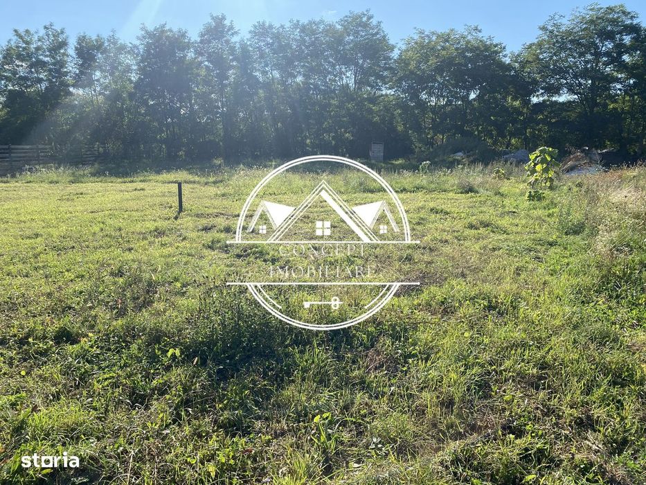 Teten intravilan de vanzare in Sibiu, 533 mp, in localitatea Hamba