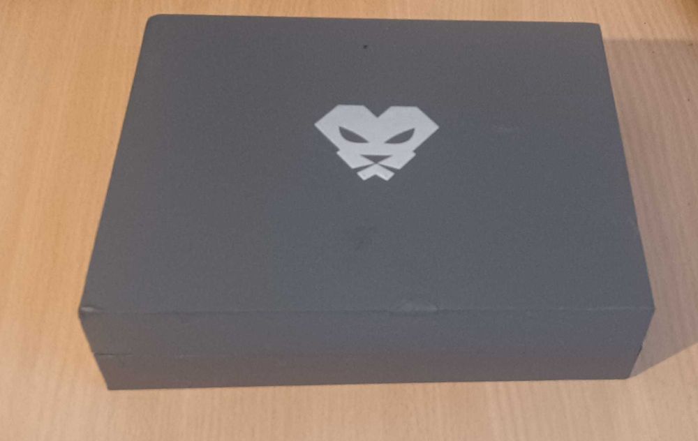 Panther X2 Hotspot Helium miner EU 868