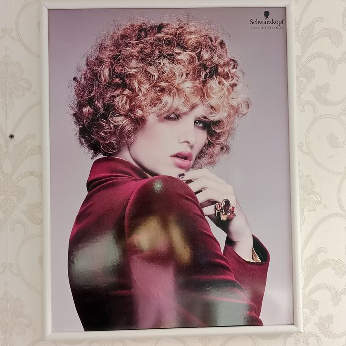 Парикмахерские мебельные картины