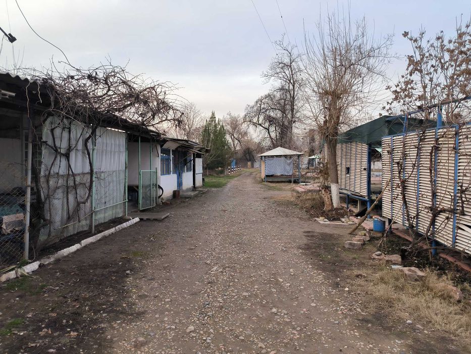 Sirdaryo daryosida Damolish Maskani sot Продается Зона Отдыха Сырдарья