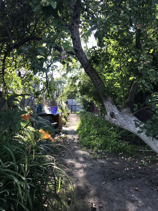 продаю дом в рабочем посёлке