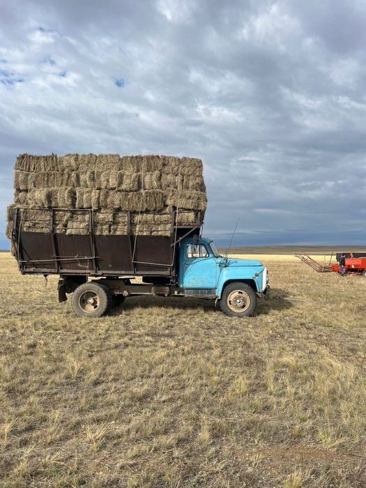 Прес шөп сатылады