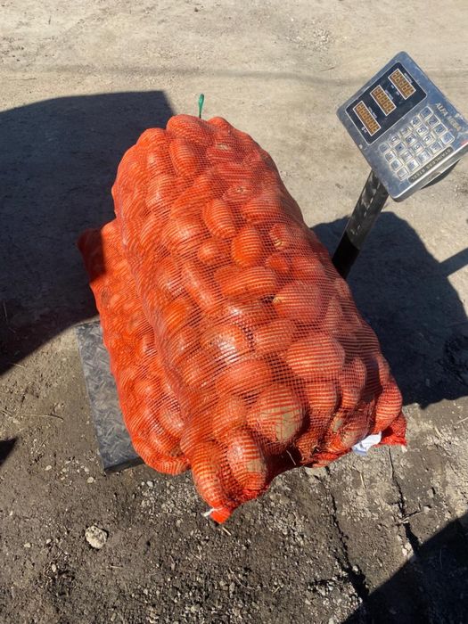 Картошка картоп