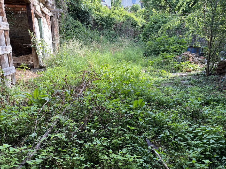 Косене, чистене, извозване, изграждане, поддръжка на дворове и градини