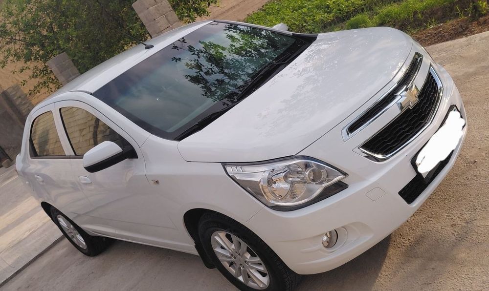 Other Cobalt 2022 — 2