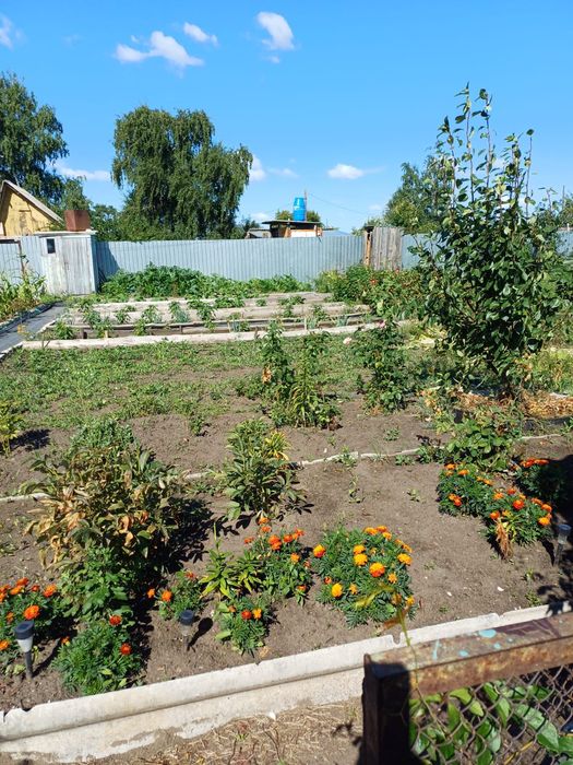 Продам дачу. Мелиоратор