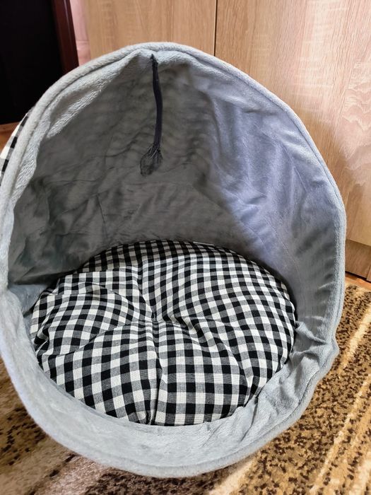 Patut animalut           .