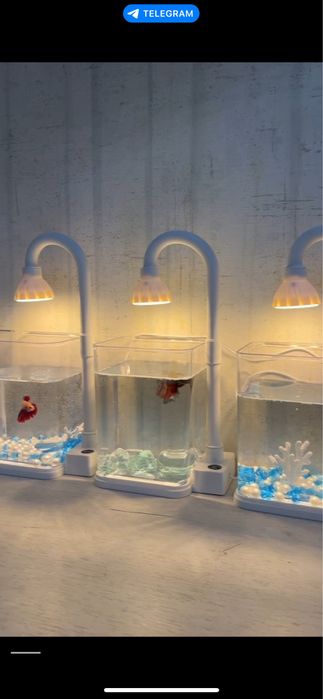 Аквариум вместе с рыбой