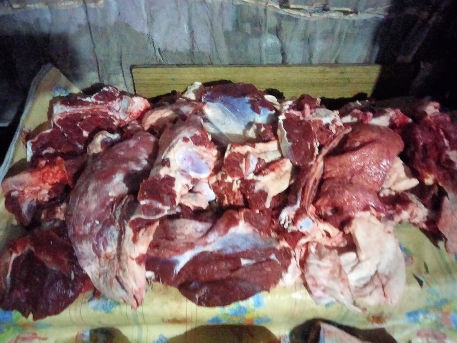 Продам мясо говядины
