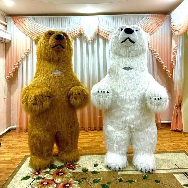 Ayiqlar sotiladi | Ayiq sotiladi