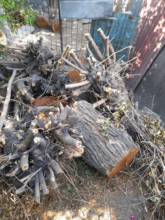 Дрова пиленные самовывоз