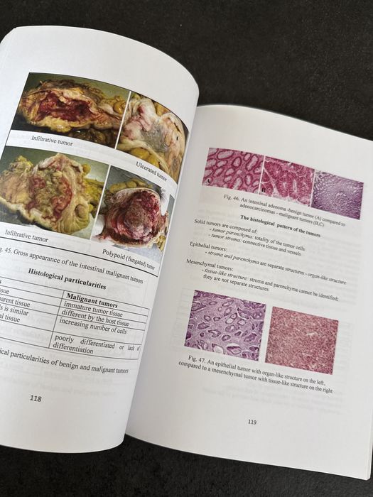 2 carti Pathology in engleza