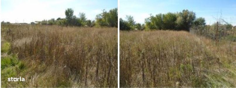 Teren Branceni, ID: R2942560
