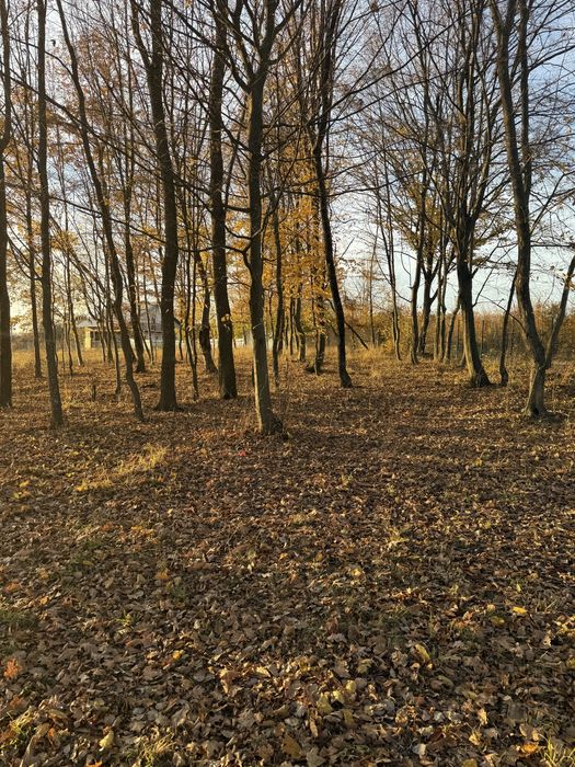 Teren intravilan,investitii,-Mitocas