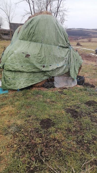 Vând baloți amestec