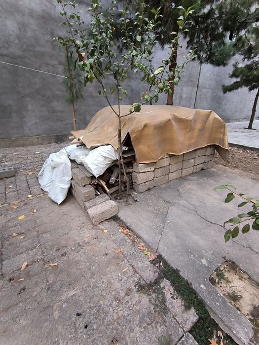 Otin sotiladi srochna