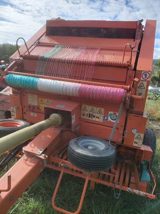 Balotiera galigniani 8600