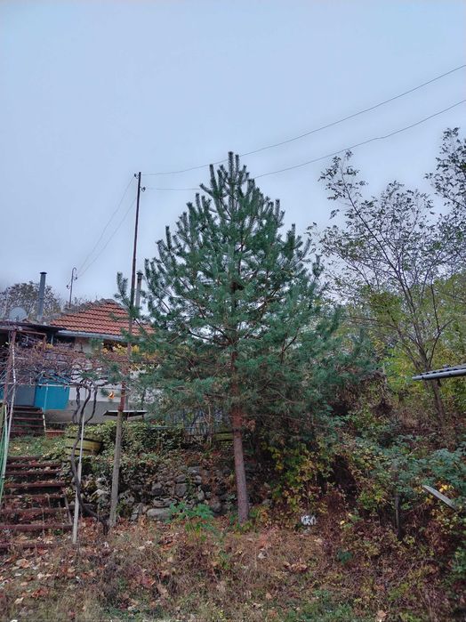 Продава се Къща в Враца, Дъбника - 40 кв.м за 204 €/кв.м - Снимка #5