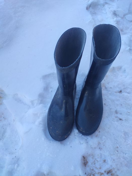 Резиновые сапоги