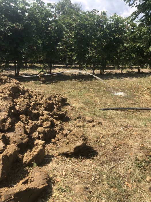 Foraje puturi de apa mica si mare adancime