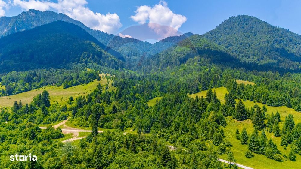 Natură— 18.900 mp în Săcele, cu râu și priveliște montană