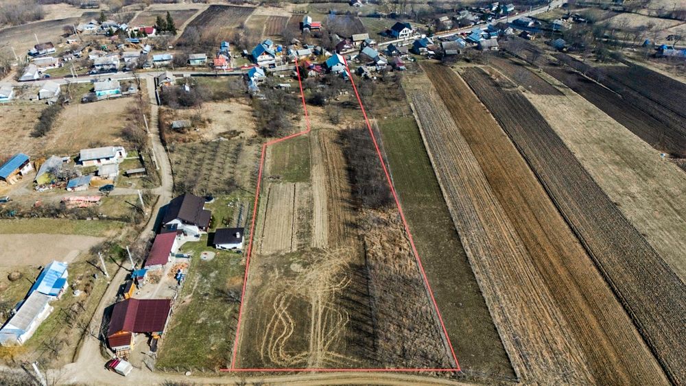 Vand casa si magazin