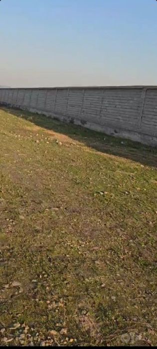 Сергели земля 50 соток Бинокор Логистика