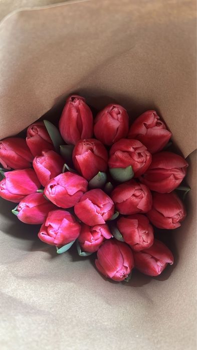 Тюльпаны оптом и в розницу