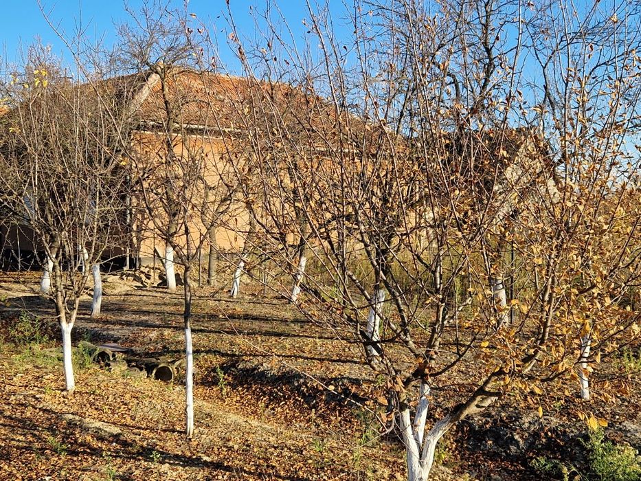 Casa si doua livezi in localiatea Somoscheș
