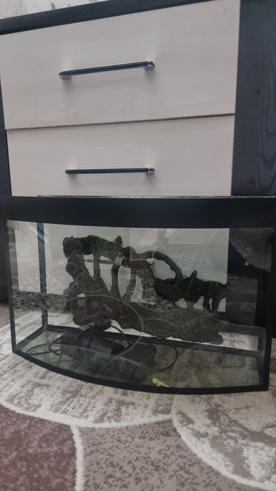 Аквариум для рыб