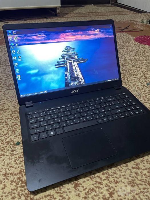 Acer xolati idel