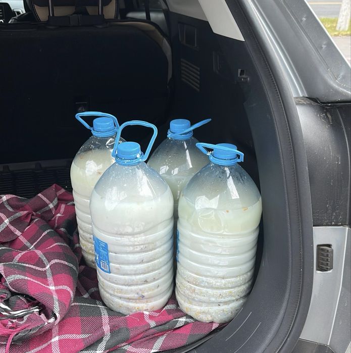 Наурыз көже из 7 злаков