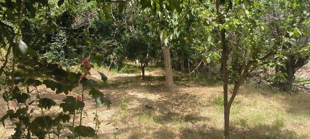 Katta hovli srochni sotiladi