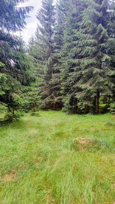 De vânzare  Teren intravilan 1.370 mp, Muntele Băișorii – zonă centrală, lângă pensiunea Skiland