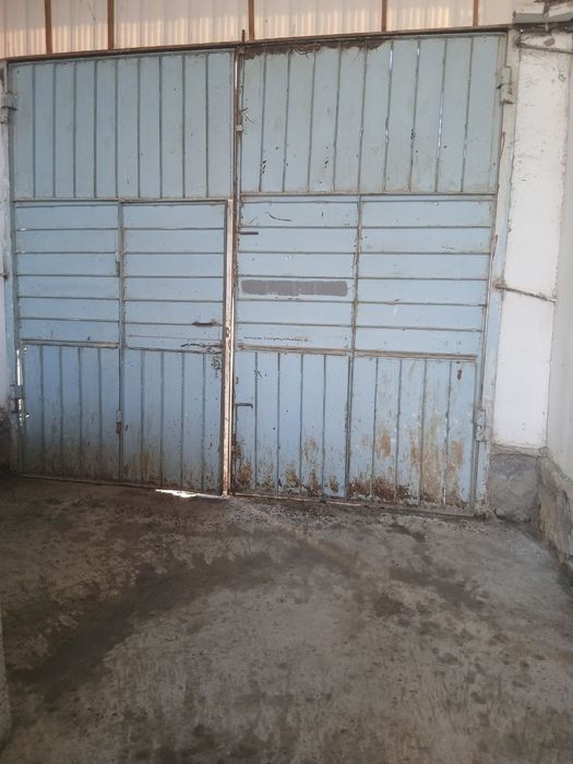 Narpay Chorvador nixol 61