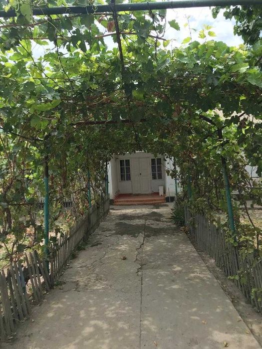 Уй Жер сатылады Асыката