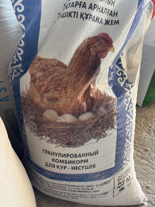 корм для кур несушек