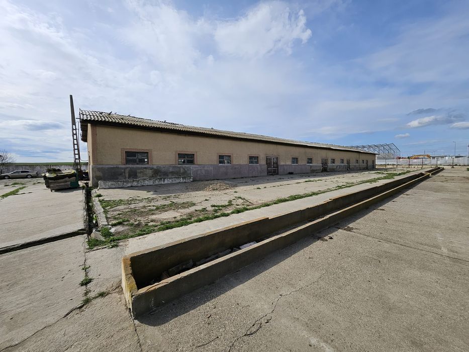 Ferma de vanzare sau la schimb cu teren arabil, imobiliare