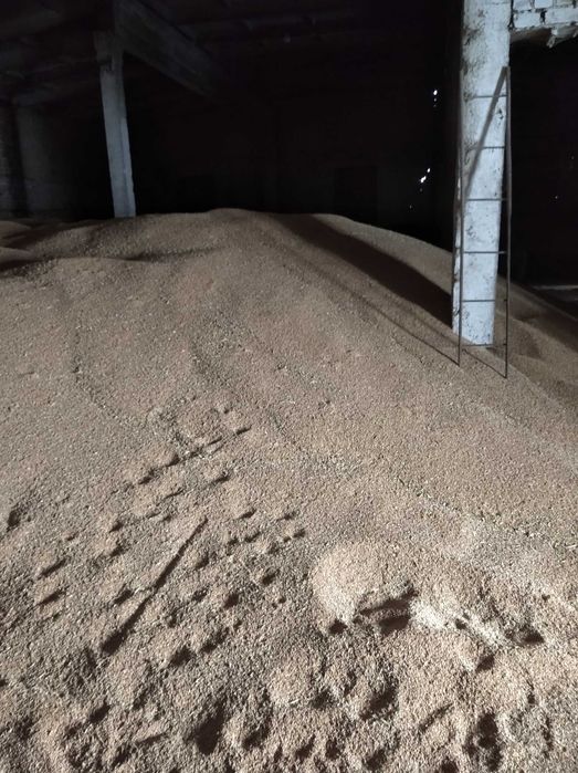 пшеница 28 клейковина по 95