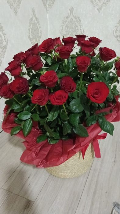 Розы 35 штук  бу свежие