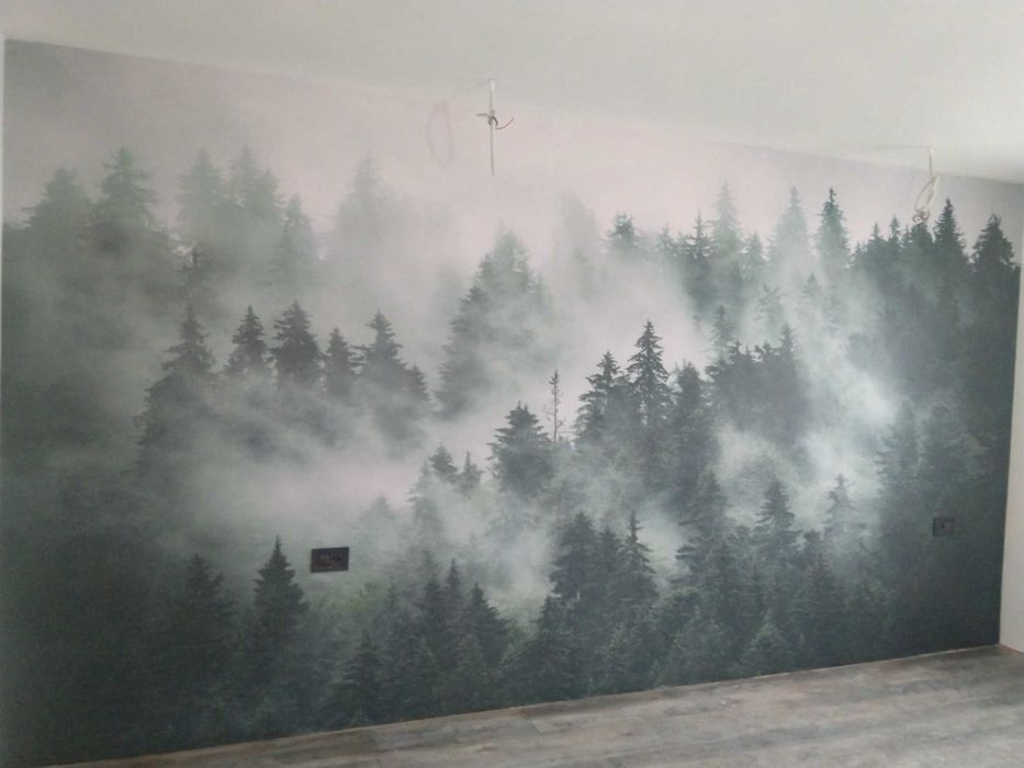 Montaj tapet Timisoara