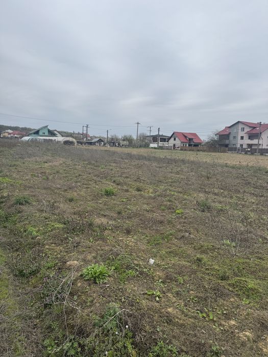 Teren intravilan 500 mp, Bascov